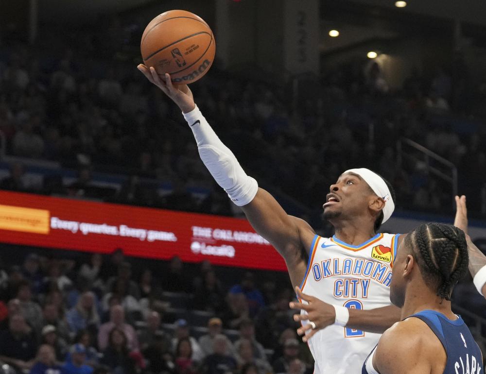 由政府与私 由政府与私