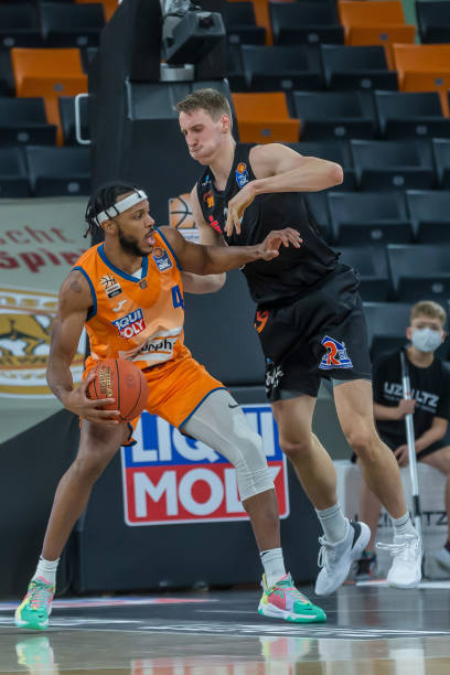 灰熊利用主 灰熊利用主